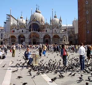 Tauben in Venedig (Baumfällungen und Vogelschutz)
