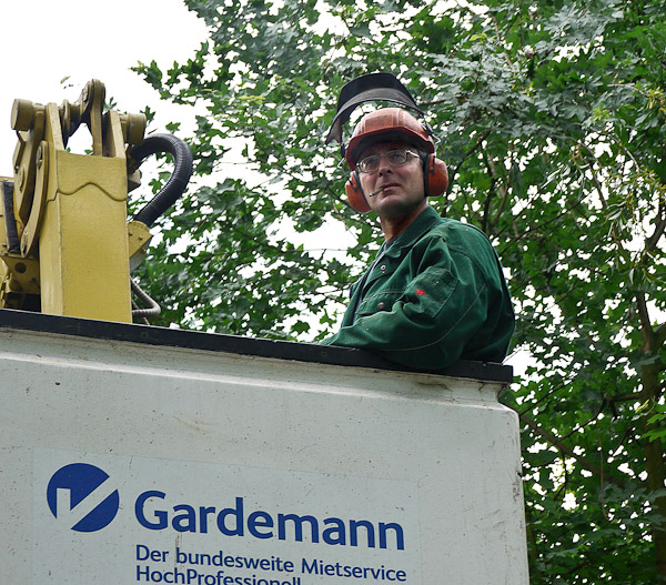 Gardemann Arbeitsbühnen, Einsatz für Baumfällungen