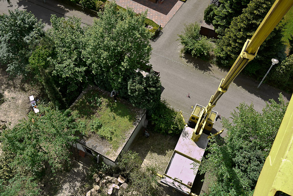 Gardemann Arbeitsbühnen, Einsatz für Baumfällungen