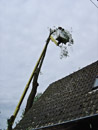 Gardemann Arbeitsbühnen, Einsatz für Baumfällungen